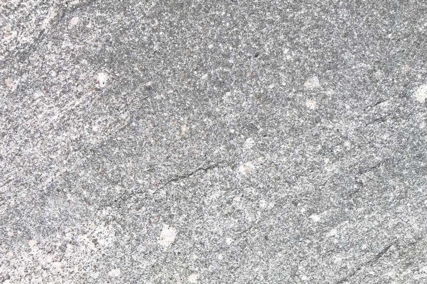 Pelicano 2