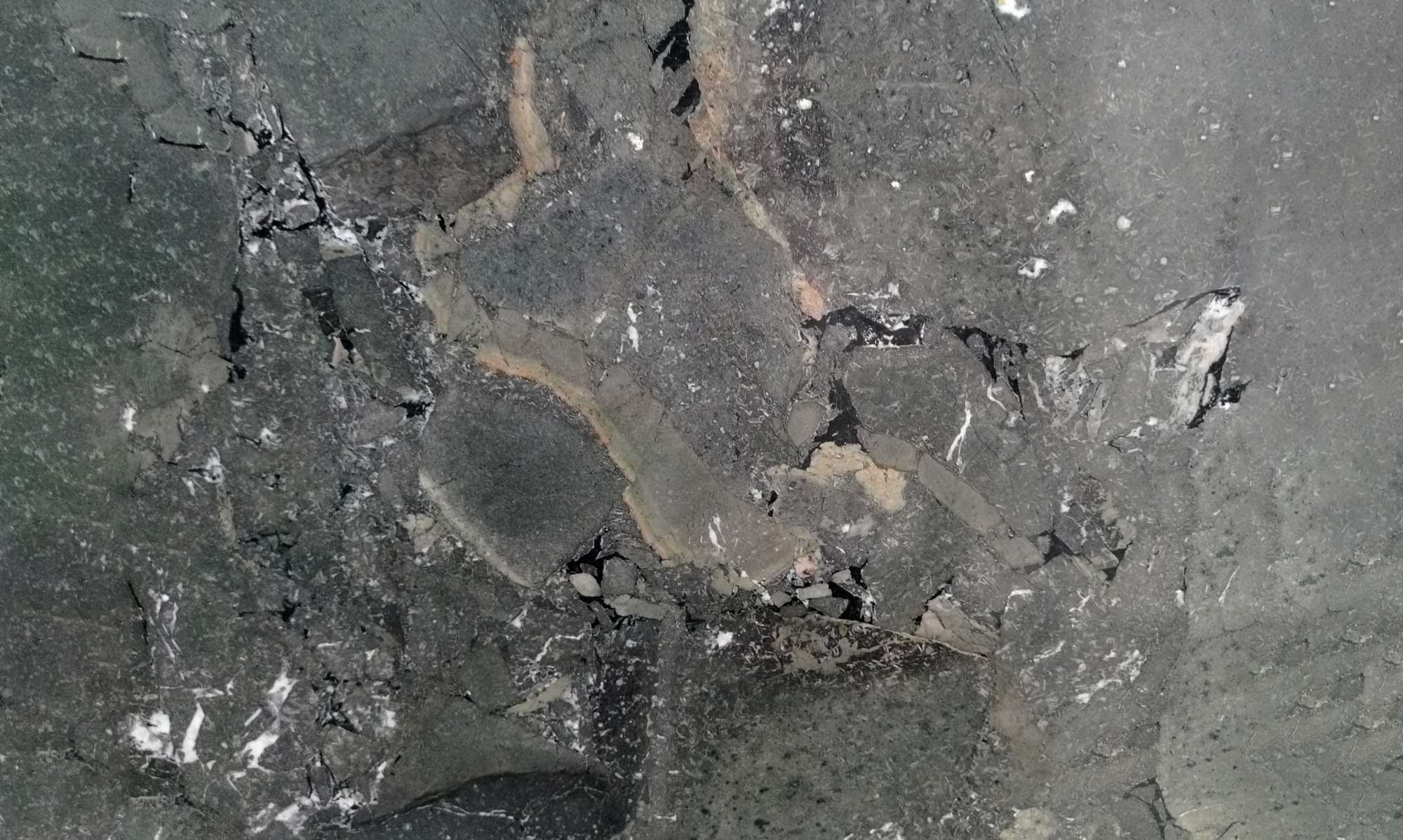 Slide Image