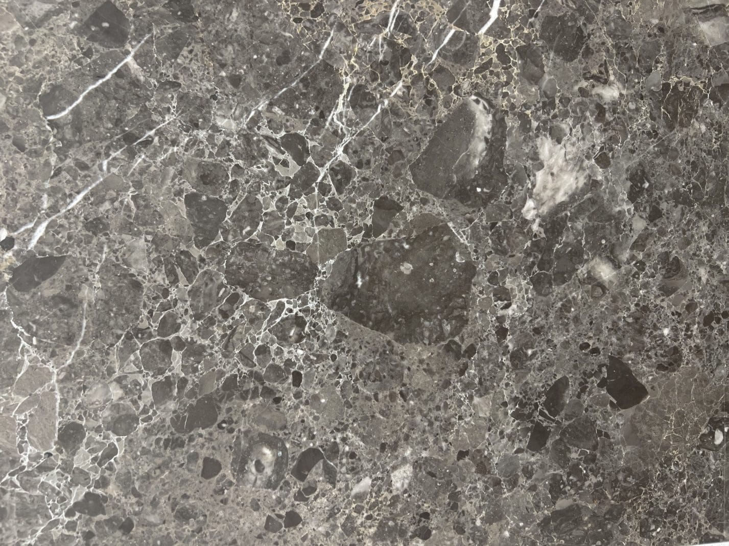 Slide Image