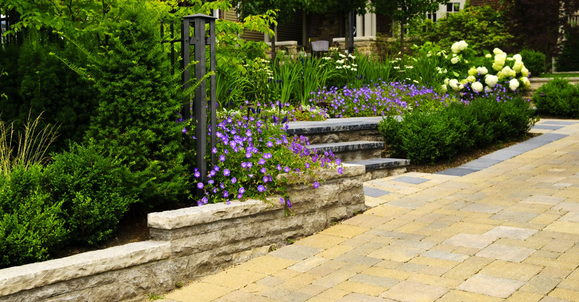 Untitled design (29) A green outdoor garden with yellow coloured paving
